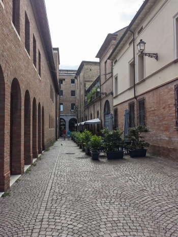 IMG-20250610-WA0070
