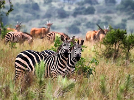 Spotkanie z geografem i podróżnikiem Dariuszem Stępniem.