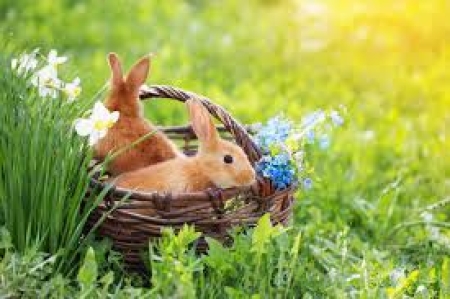 Klasy 0 - 3 na wycieczce w Chwalimierzu.